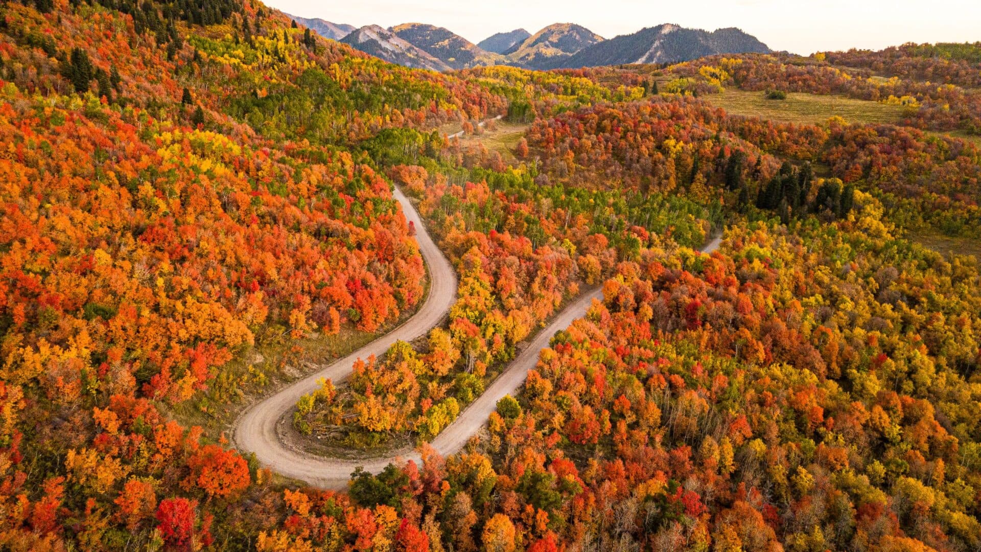 Fall Foliage in NWA - Smith & Associates